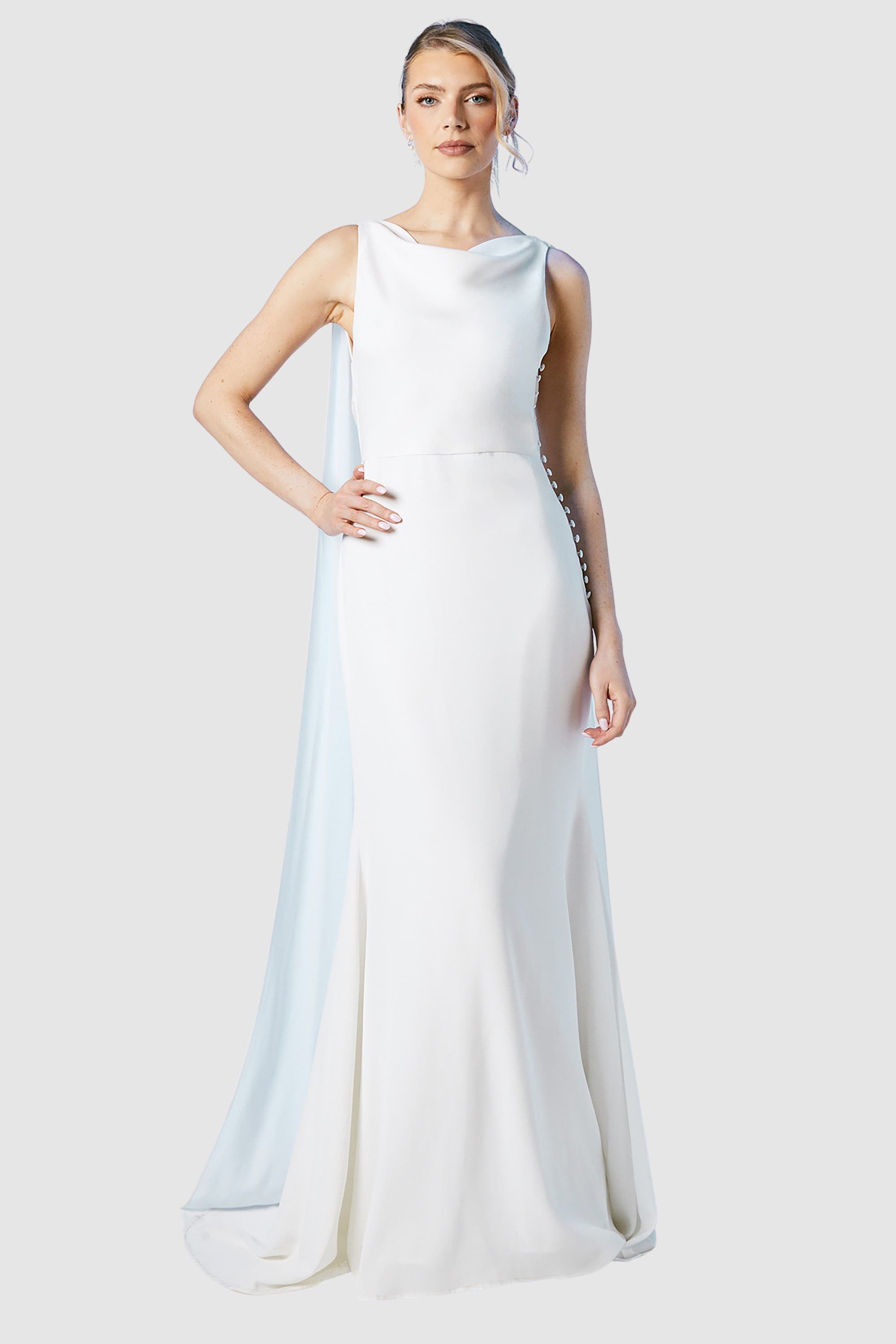 selected Ivory