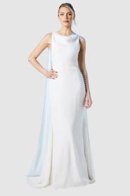 Coast Chiffon Cowl Neck Maxi Dress