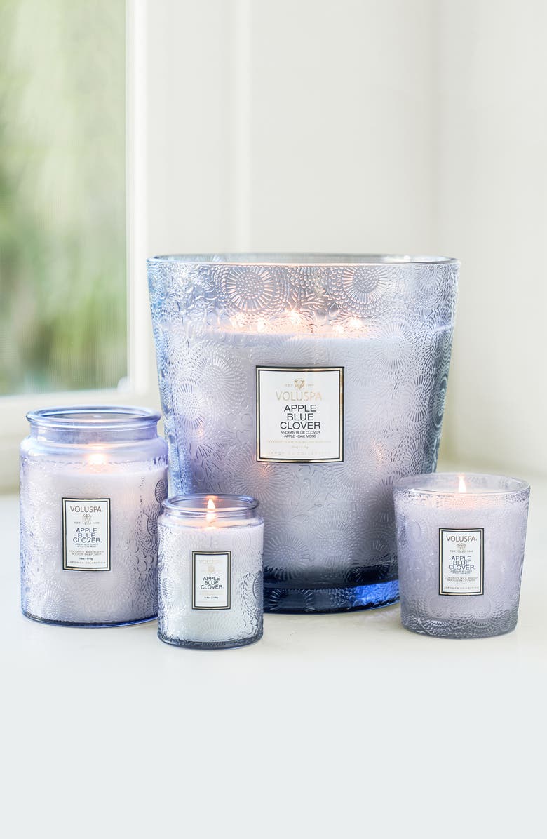 Voluspa Apple Blue Clover Boxed Classic Candle, Alternate, color, 