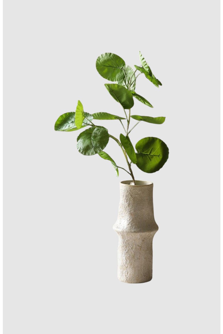 Green Plum Aralia Leaves, Main, color, Green