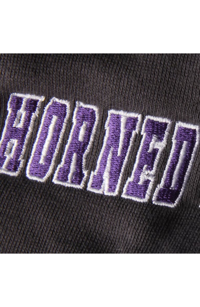 STADIUM ATHLETIC Youth Stadium Athletic Charcoal TCU Horned Frogs Big Logo Pullover Hoodie, Alternate, color, Charcoal