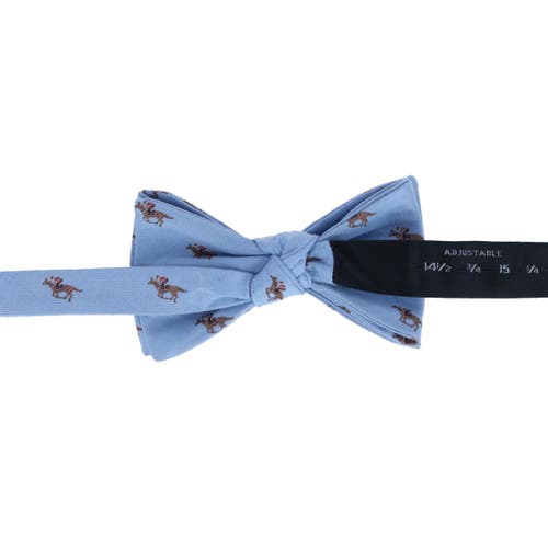 Trafalgar Down The Stretch Racehorse Linen Blend Bow Tie In Light Blue