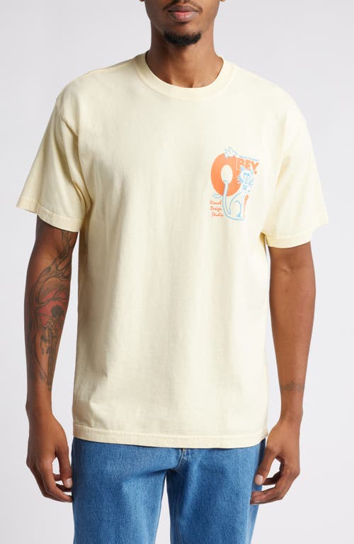 Obey World's Friendliest Cotton Graphic T-Shirt in Anise Flower 