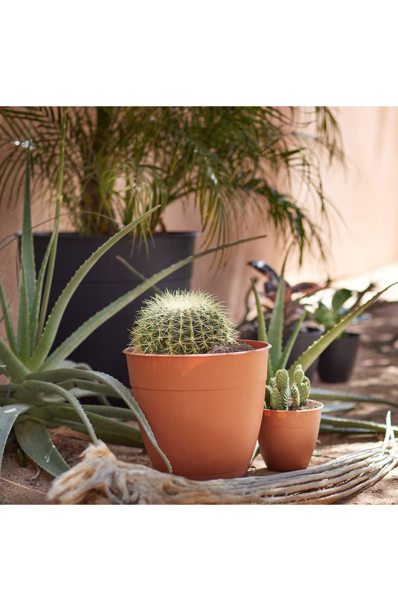 Bloem 12 Inch Dayton Planter With Saucer Tray, Terra Cotta, Alternate, color, Brown