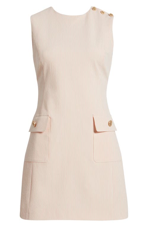 Frame The Seersucker Sleeveless Minidress In Azalea Multi