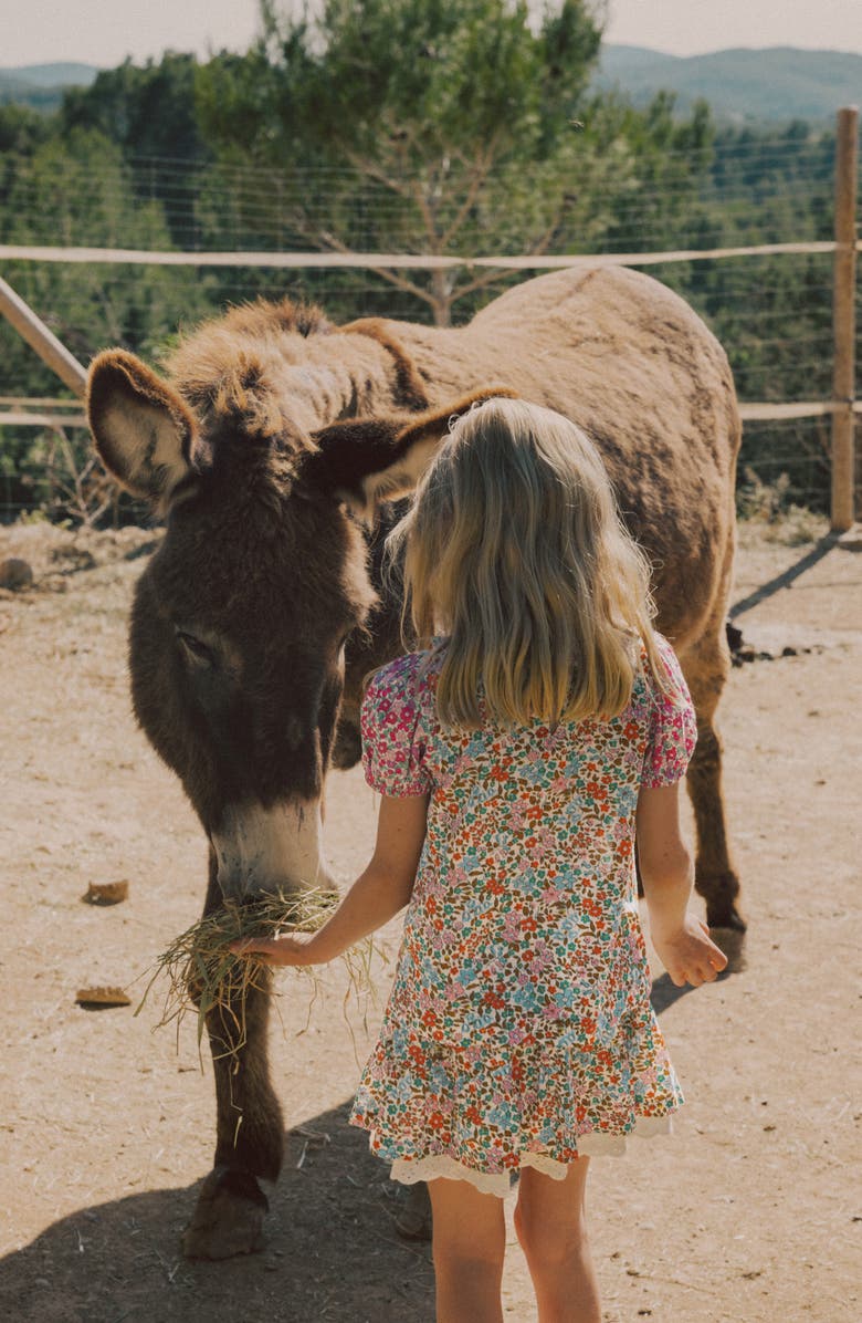 Mini Boden Kids' Ruffle Puff Sleeve Smocked Yoke Cotton Top, Alternate, color, Hotchpotch Floral