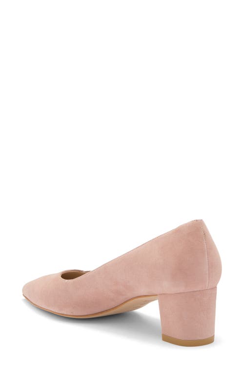 Stuart Weitzman Avenue 50 Pump In Dolce