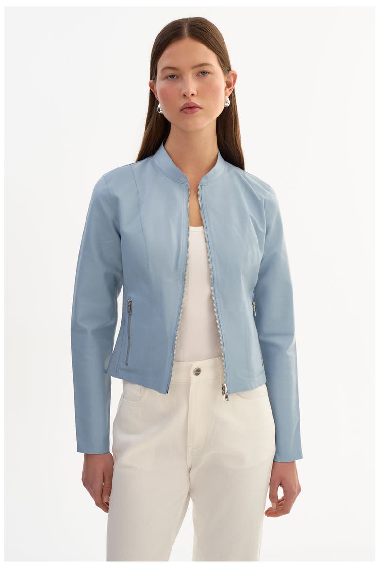 Chapin | Reversible Leather Bomber, Main, color, Baby Blue/Silver