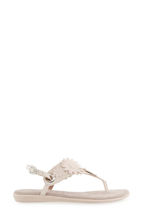 AEROSOLES AEROSOLES CONNIE FLOWER SLINGBACK SANDAL 