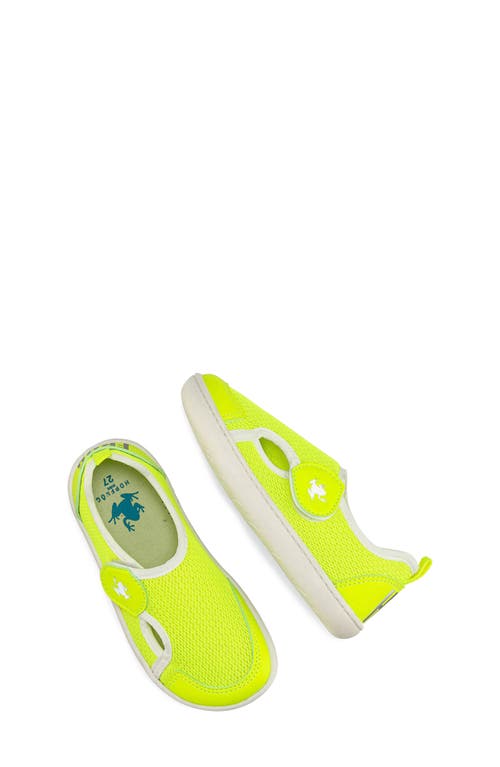 Hopfrög Kids Kids' Multi Mix Barefoot Sneaker In Neon Mix