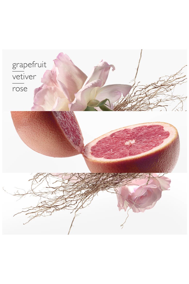 Concentré de Pamplemousse Rose - Eau de Toilette, Alternate, color, NO COLOR