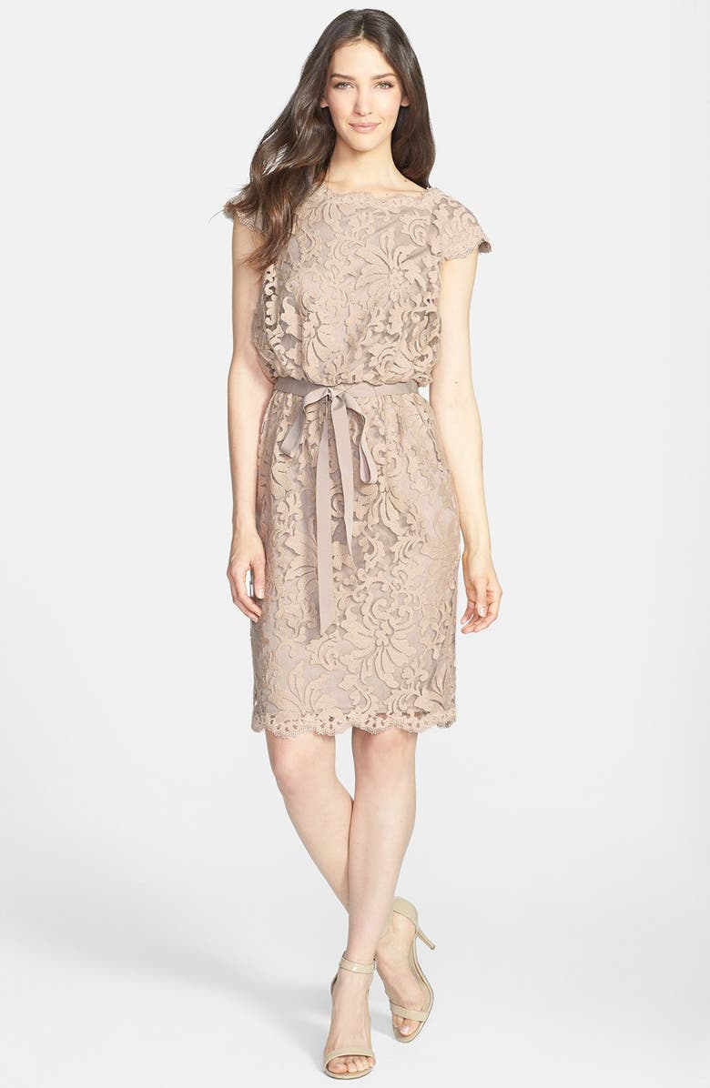 Tadashi Shoji Lace Blouson Dress, Alternate, color,