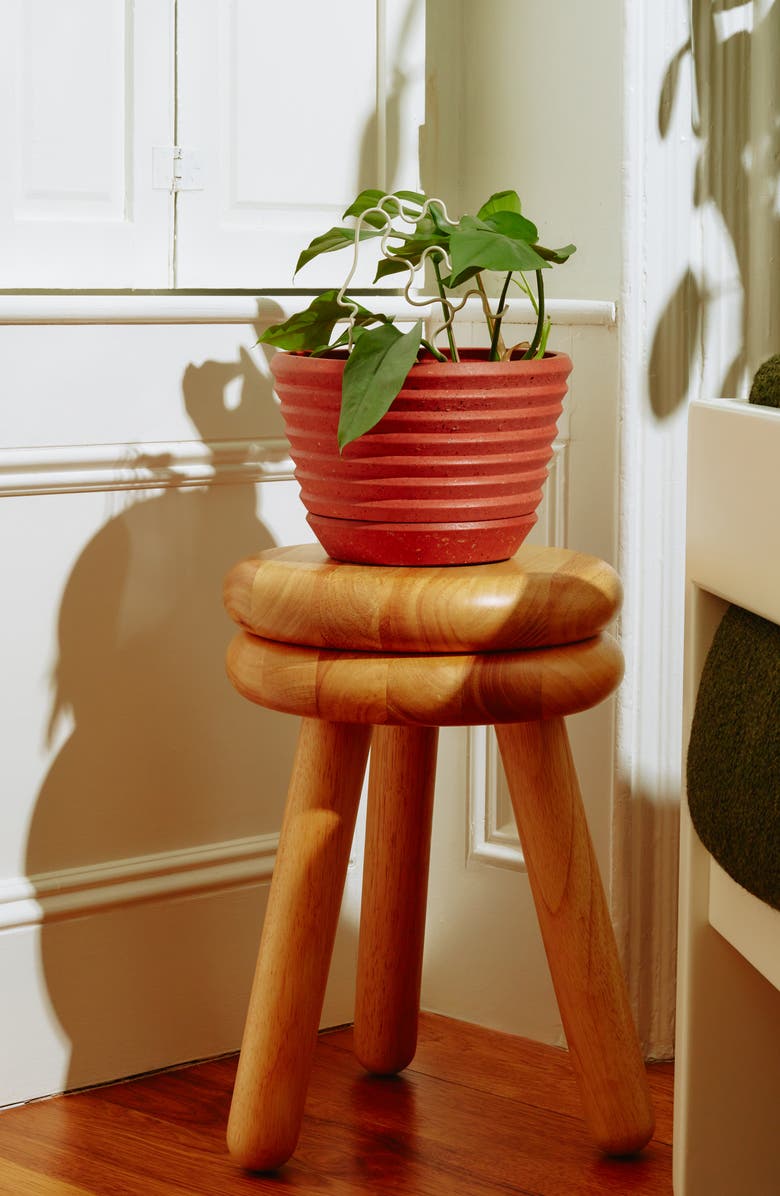 Areaware Racine Planter with Saucer, Alternate, color, 