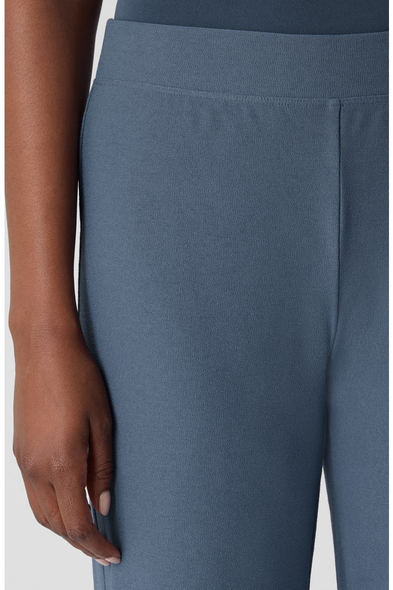 Straight Leg Ankle Pants, Alternate, color, ECLPS