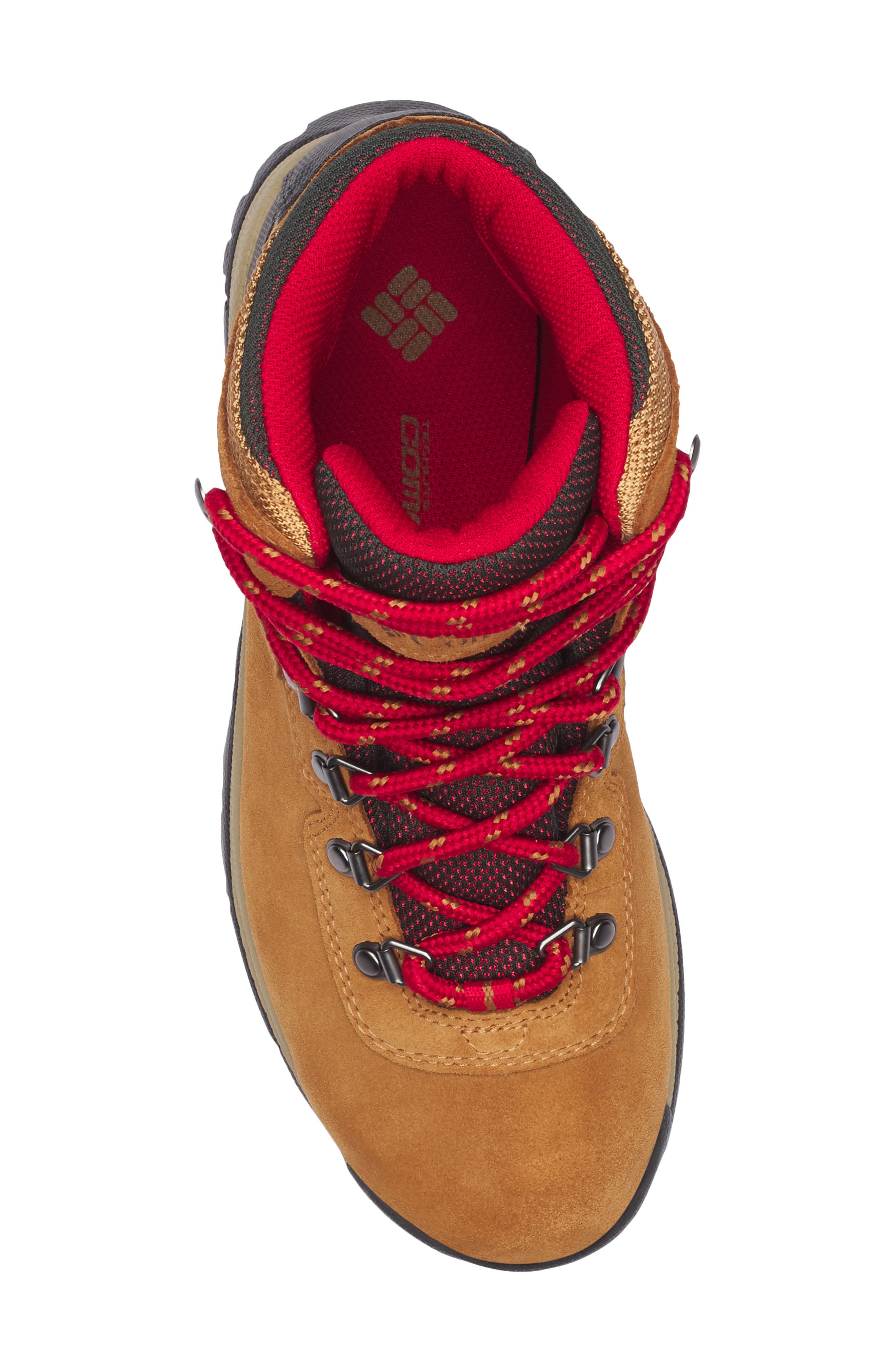 Newton Ridge™ Amped Waterproof Hiking Boot, Alternate, color, ELK/ MOUNTAIN RED