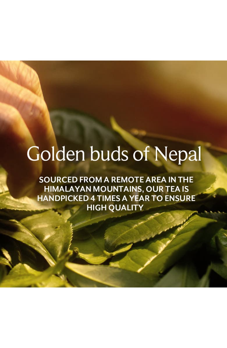 Fresh<sup>®</sup> Kombucha Antioxidant Facial Treatment Essence, Alternate, color,