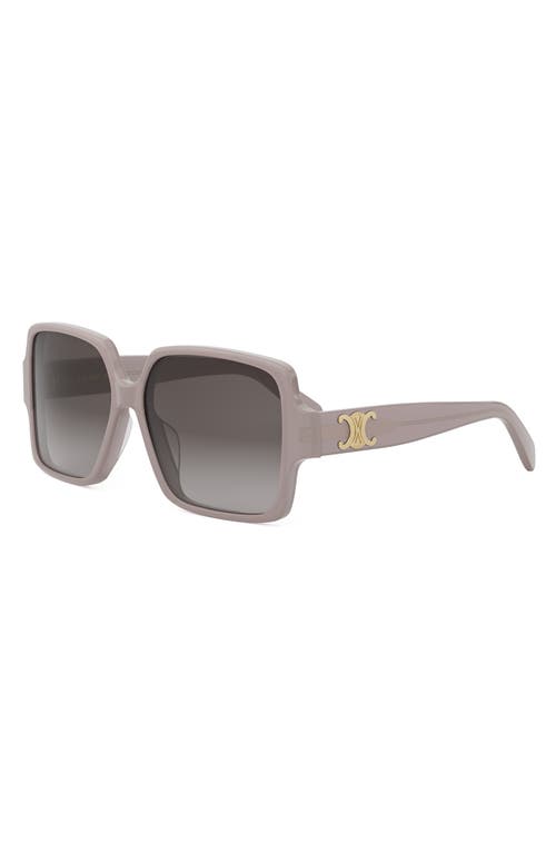 Celine Triomphe Square Acetate Sunglasses In Brown