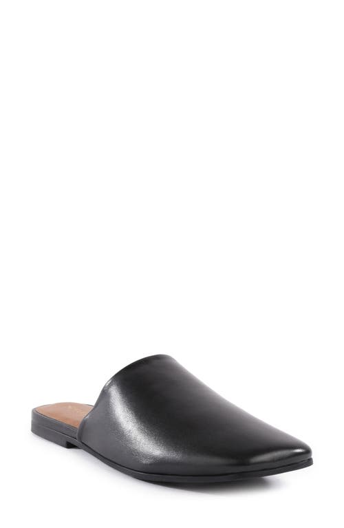SEYCHELLES SEYCHELLES BAHAMA MULE