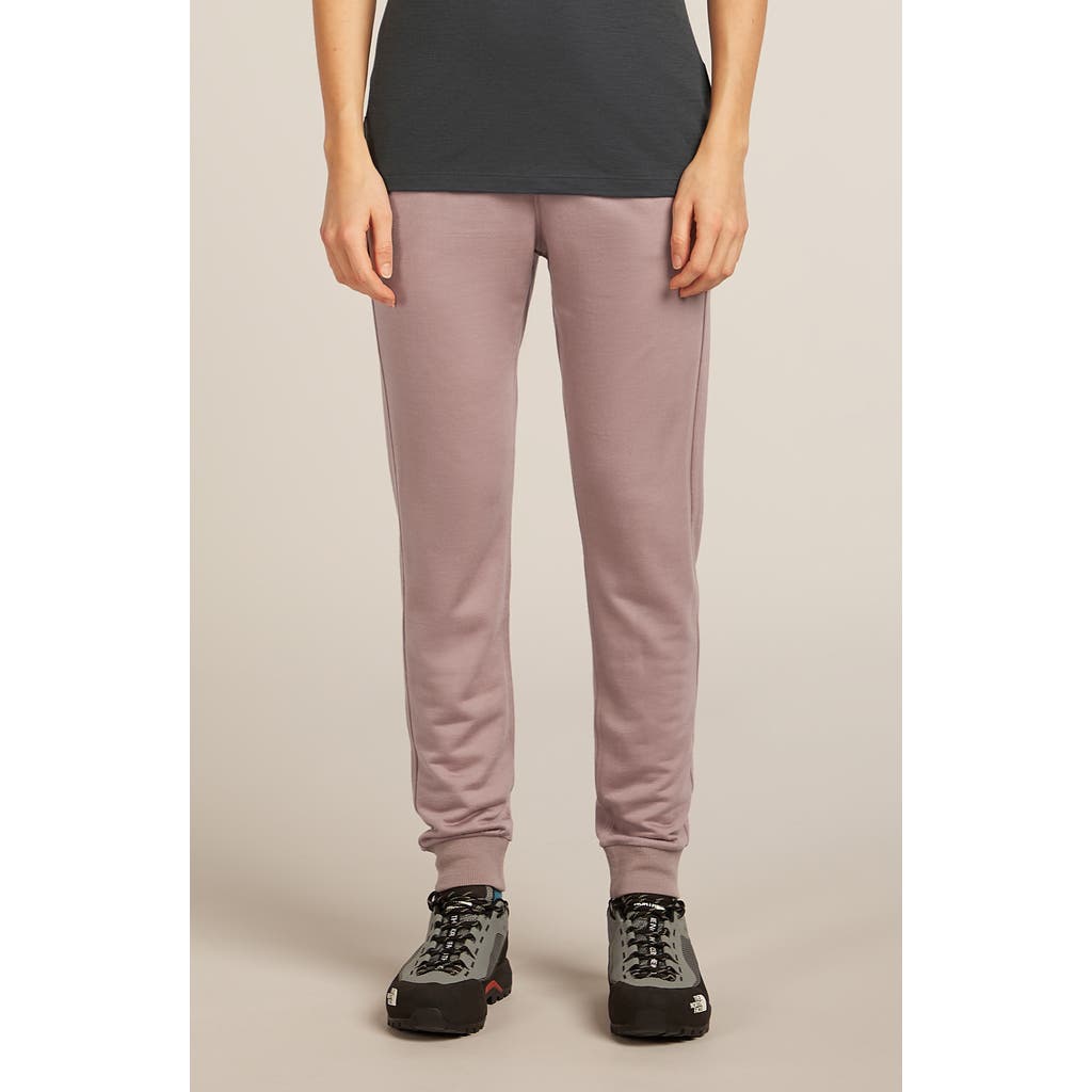 Icebreaker Crush Ii Joggers In Neutral