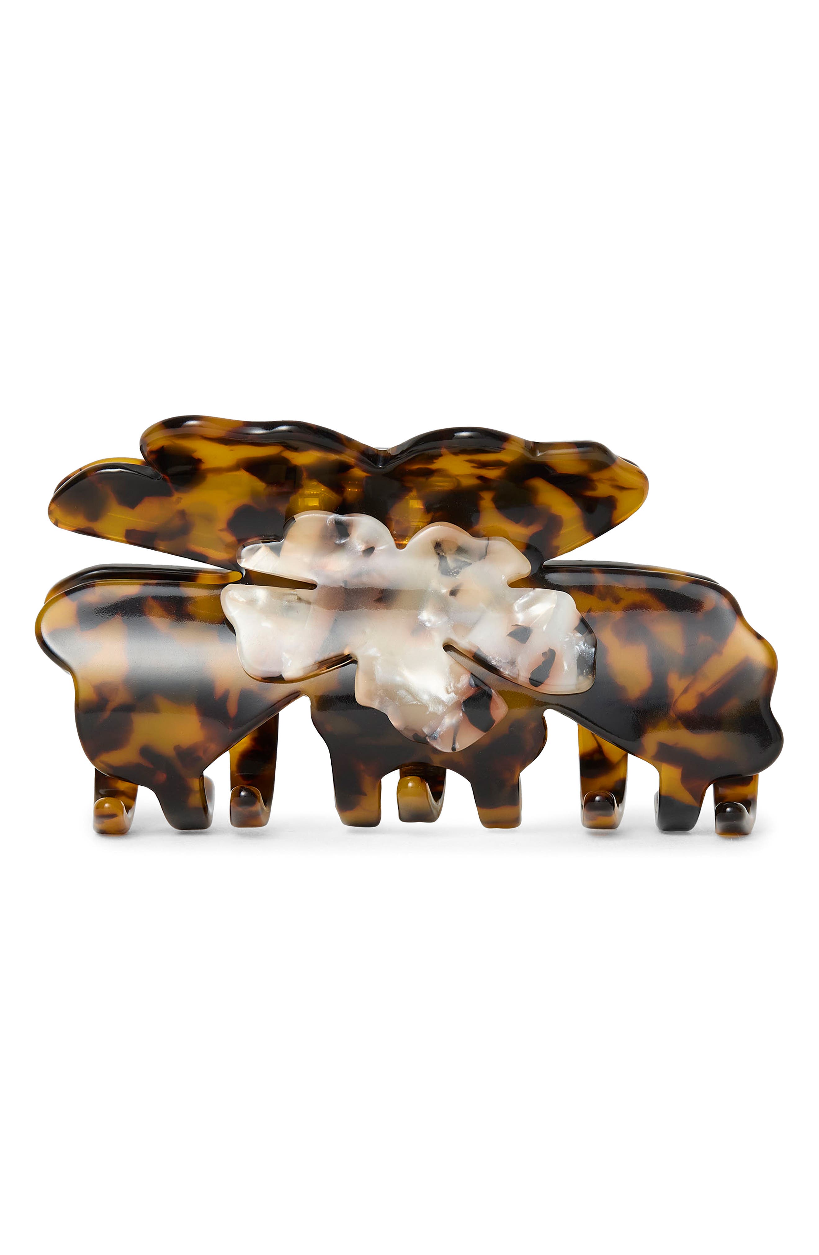 TORTOISE
