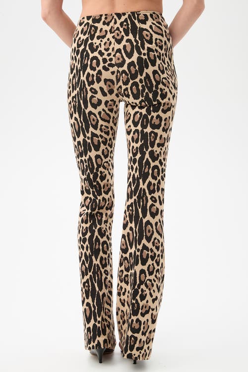 Trina Turk Jacoba Leopard Flare Leg Pant In Brown
