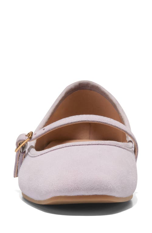 Cole Haan Yelena Mary Jane Ballet Flat In Thistle Suede