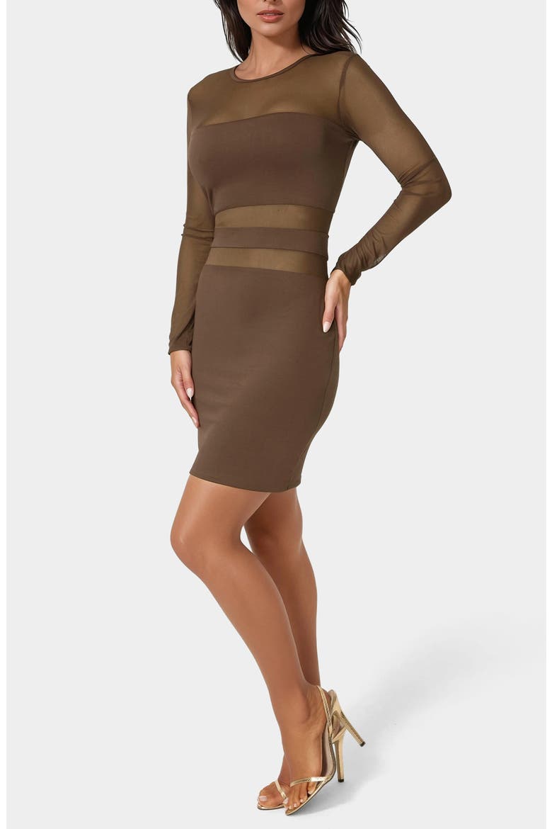 Illusion Mesh Mini Dress, Alternate, color, CHOCOLATE