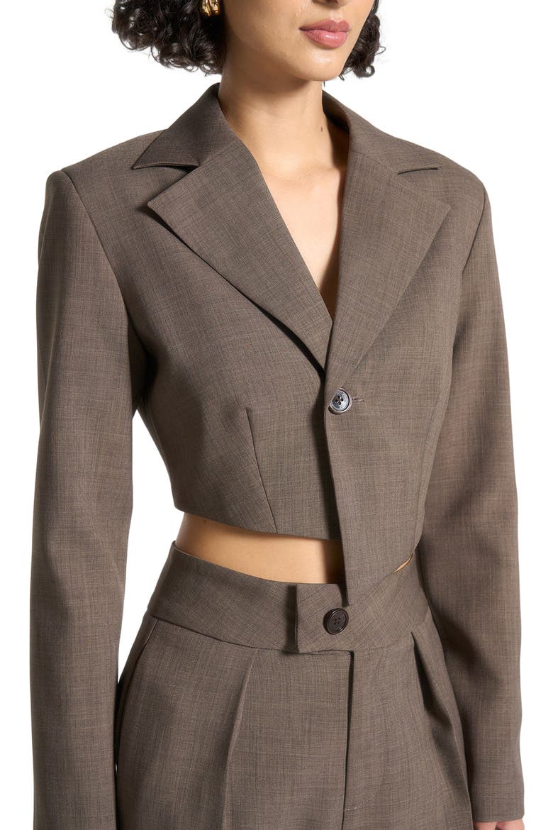 Dina Asymmetric Tailored Cropped Blazer, Alternate, color, Dark Taupe