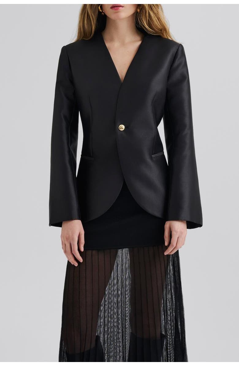 Malina Nori Fitted Heavy Satin Blazer, Alternate, color, Black