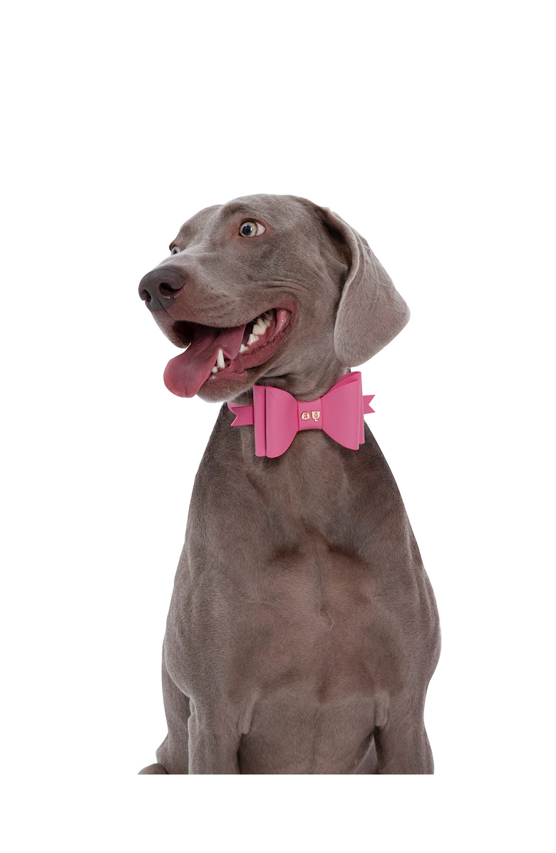 Moshiqa Paris collar, Alternate, color, Pink