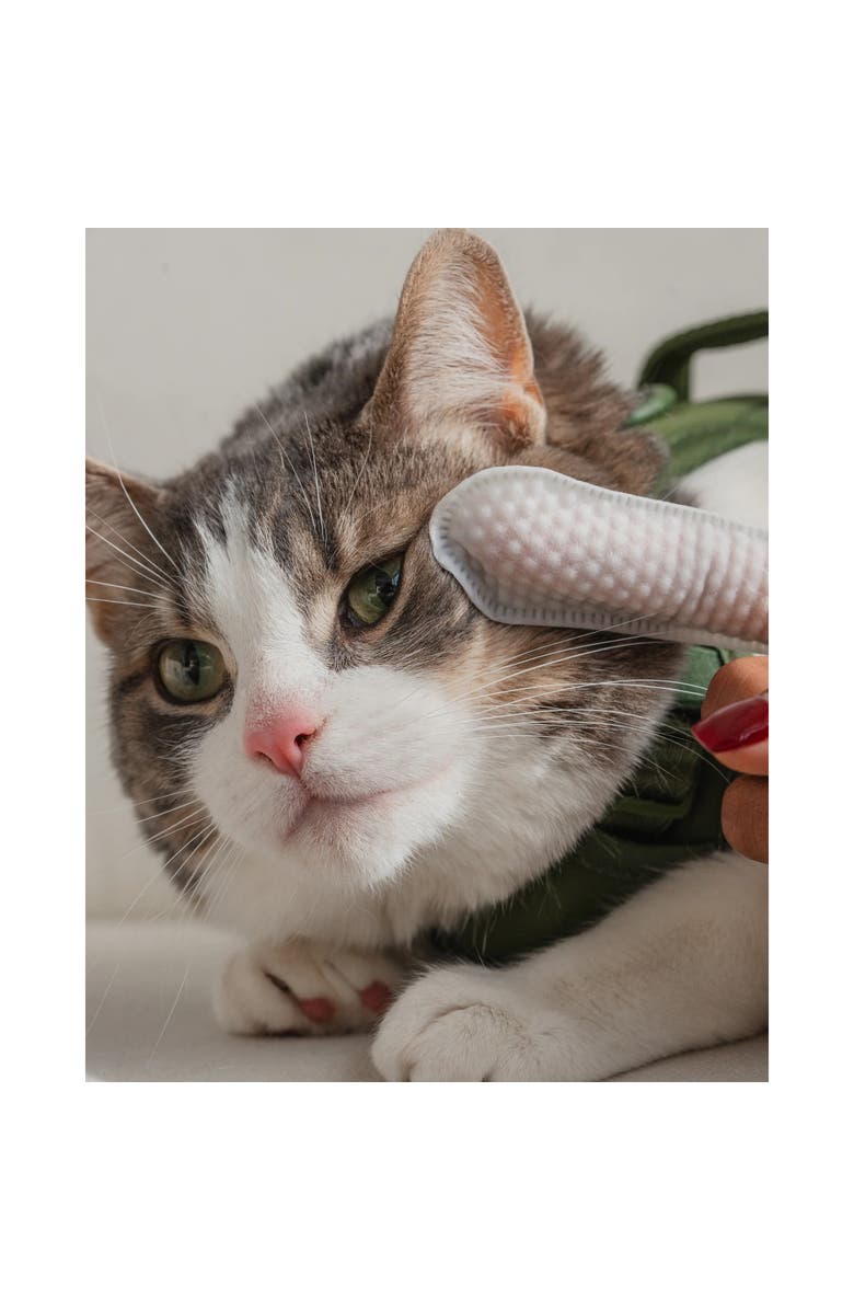 Dexypaws Eyes, Ears and Nose Finger Cat Wipes, 100 Count, Alternate, color, Multicolored