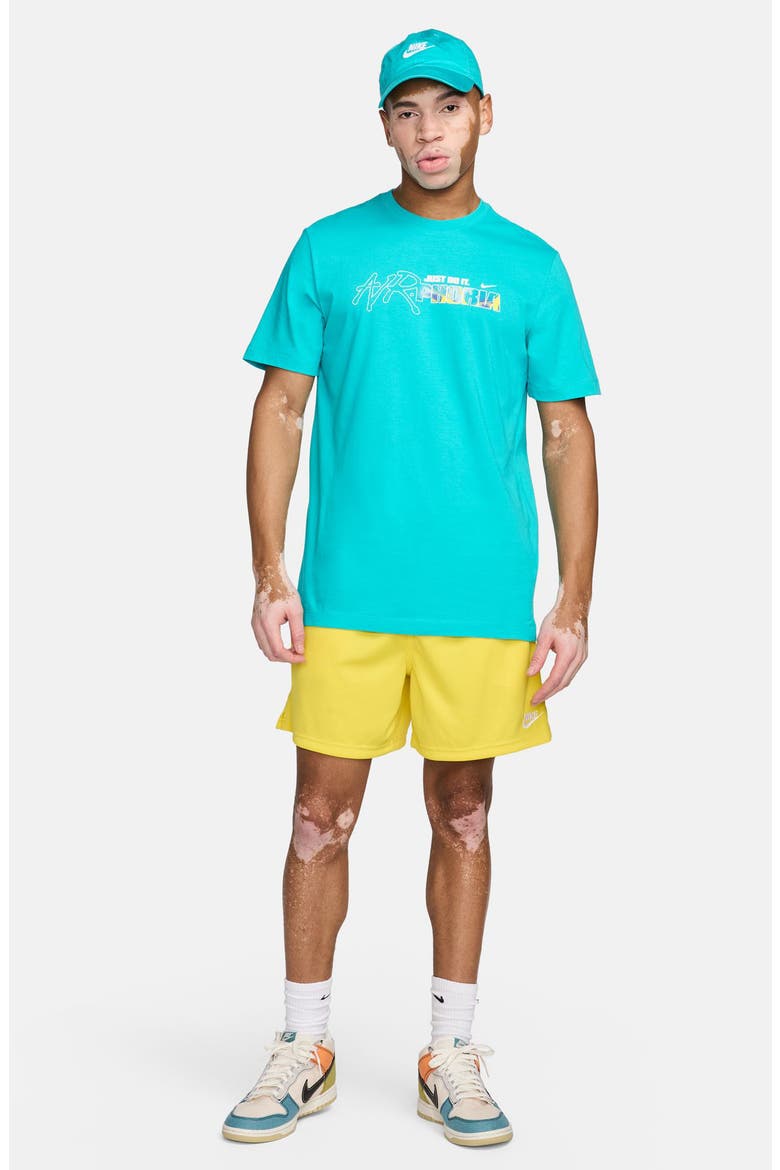 Airphoria Graphic T-Shirt, Alternate, color, DUSTY CACTUS