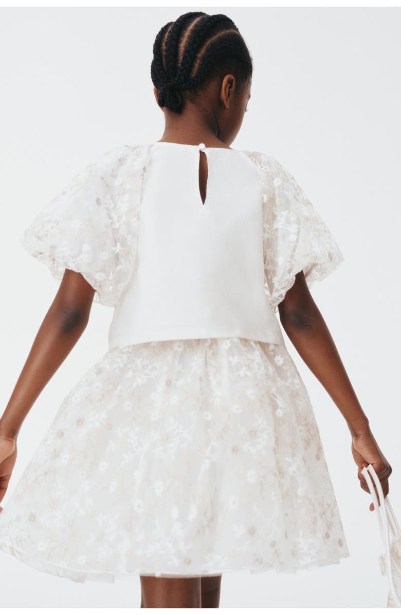 H&M Embroidered Tulle Skirt, Alternate, color, White/Floral