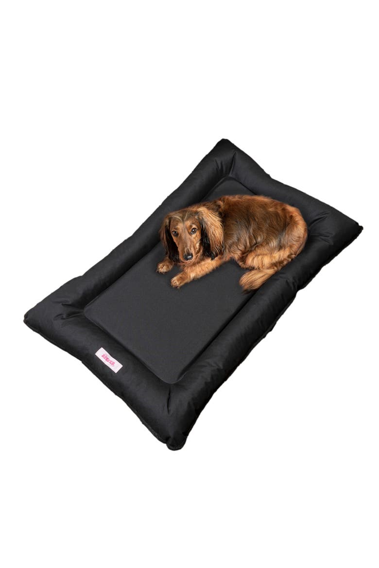 Archie Traditional Oxford Waterproof Indoor/Outdoor Hand-Washable Memory Foam Camping Pet Bed, Main, color, Black