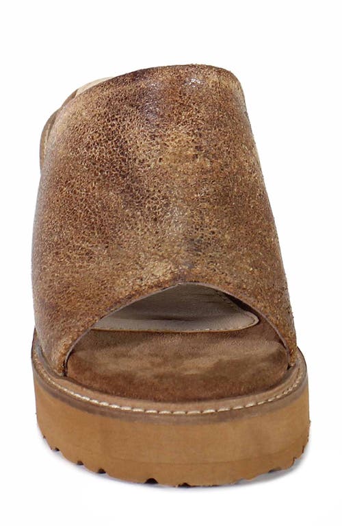 Diba True Cloud Fall Wedge Sandal In Brown