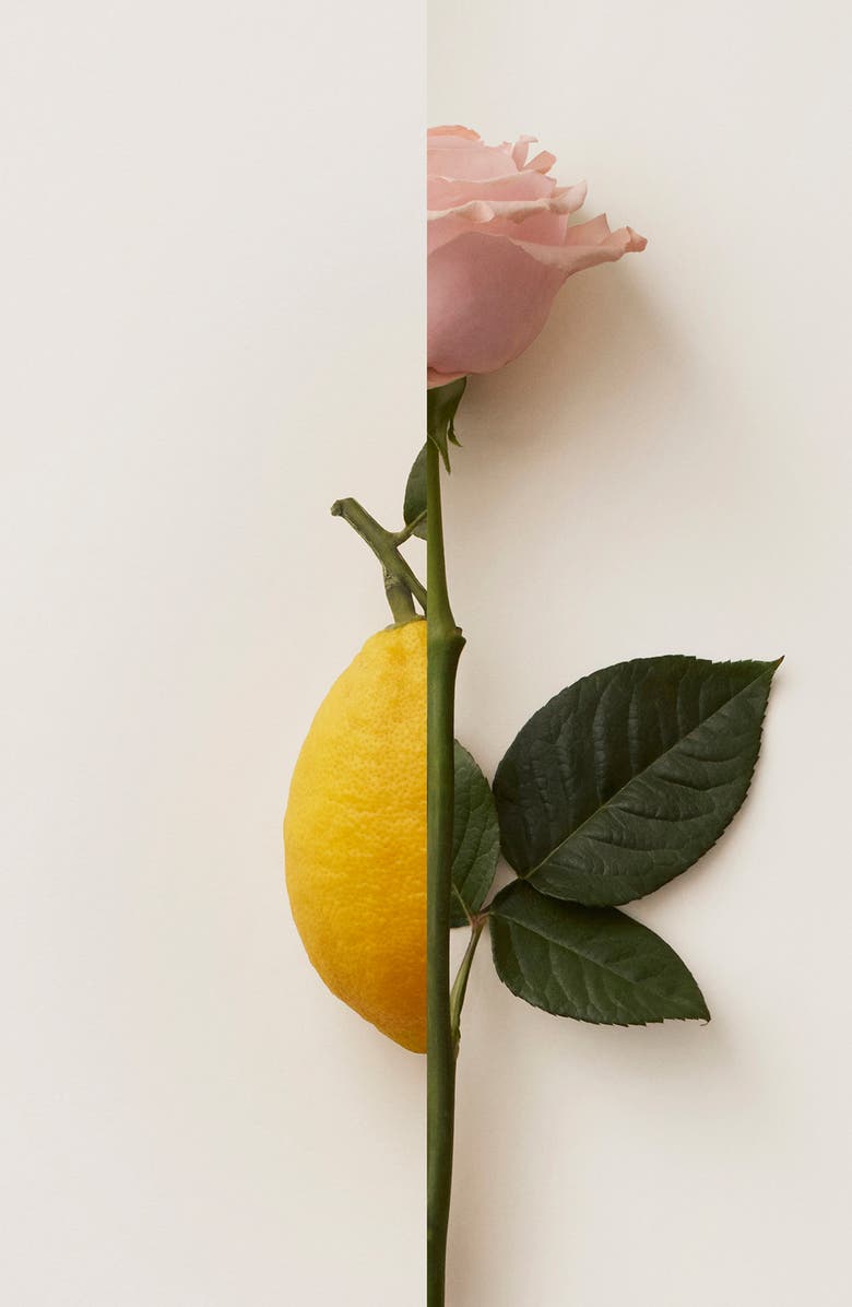 Burberry My Burberry Blush Eau de Parfum, Alternate, color, 