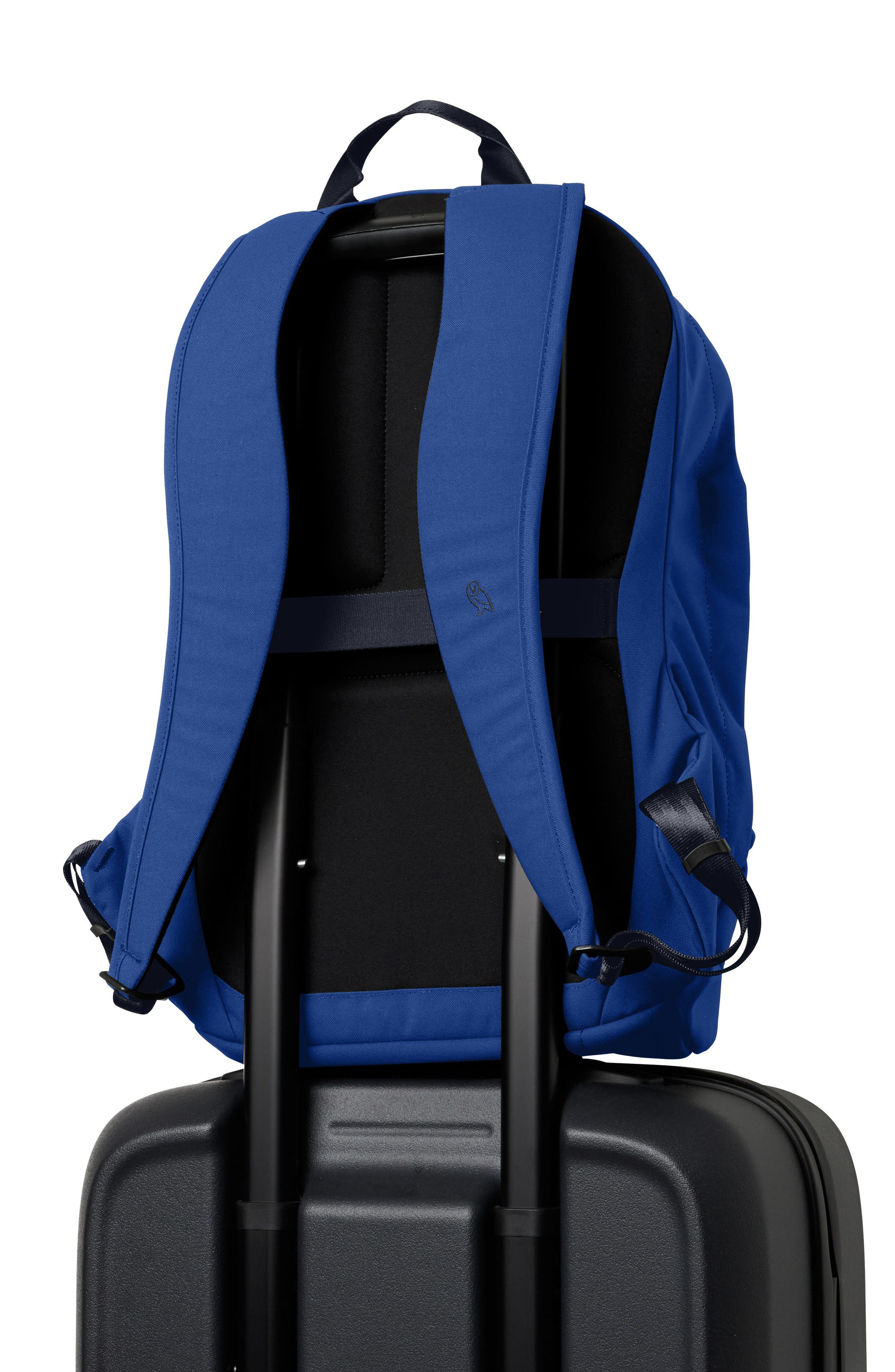 Classic Water Resistant 20L Backpack, Alternate, color, INDIGO