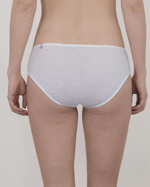 Oddobody Organic Cotton Brief In Chalk