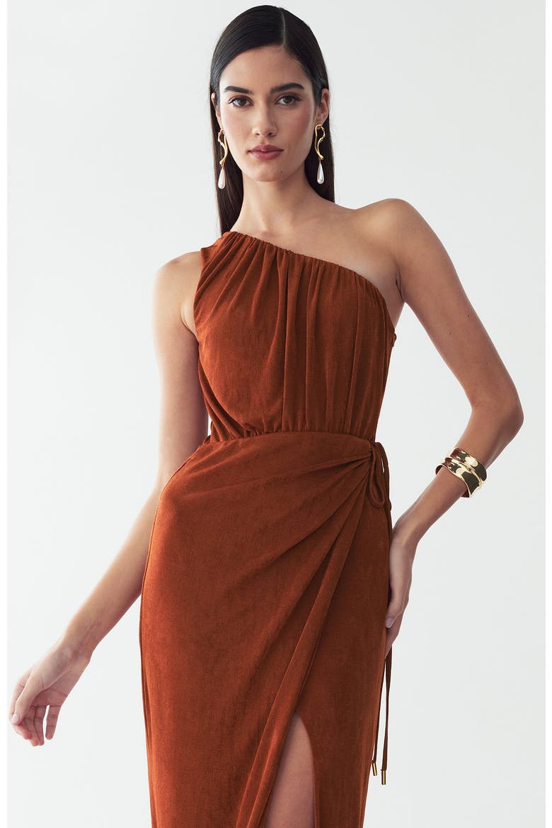 Emilie Maxi Dress, Alternate, color, Copper