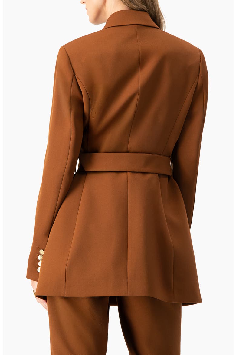 Double-Breasted Wrap Blazer with Waist Tie, Alternate, color, Brown