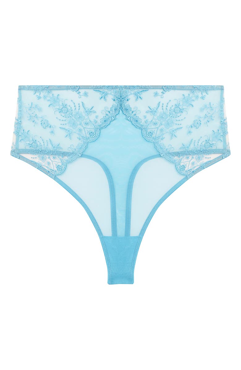 Playful Promises Cassia Blue Embroidered Mesh Thong, Alternate, color,