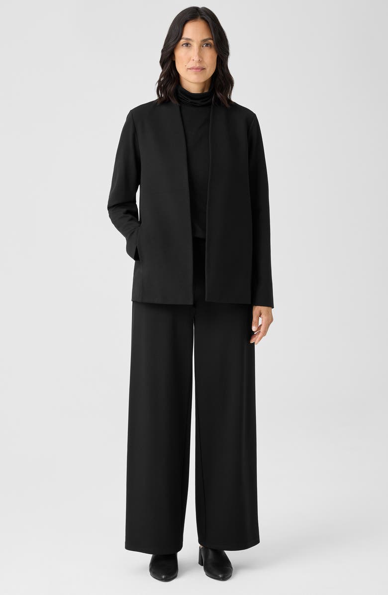 Eileen Fisher High Collar Jacket, Alternate, color,