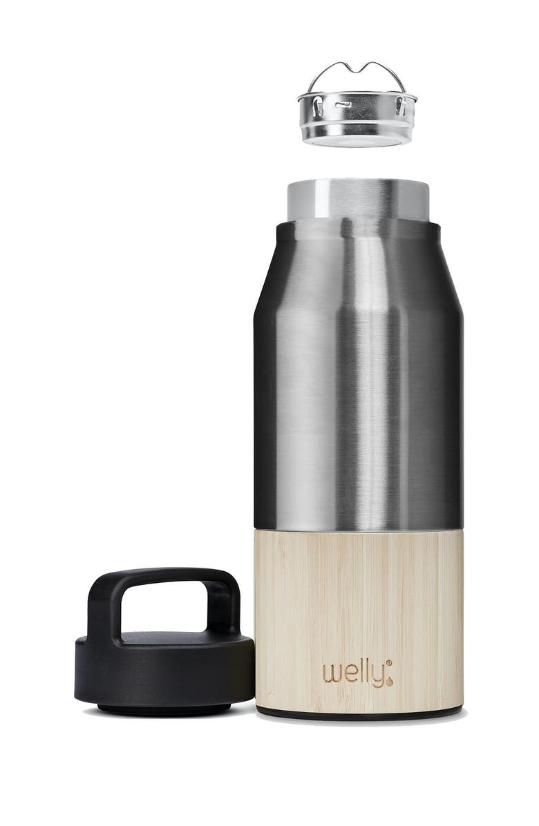 WELLY Traveler 28oz - Stainless, Main, color,