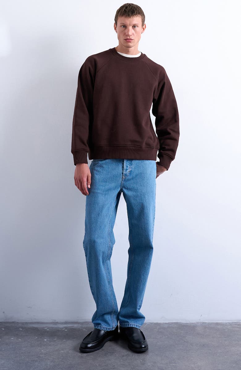 Topman Boxy Raglan Sleeve Sweatshirt, Alternate, color, Brown