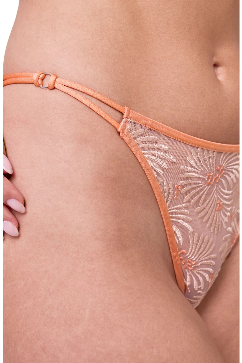 Tangerine Dream Embroidered Sheer Mesh Bikini Briefs, Alternate, color, CHAMPAGNE/ TANGERINE