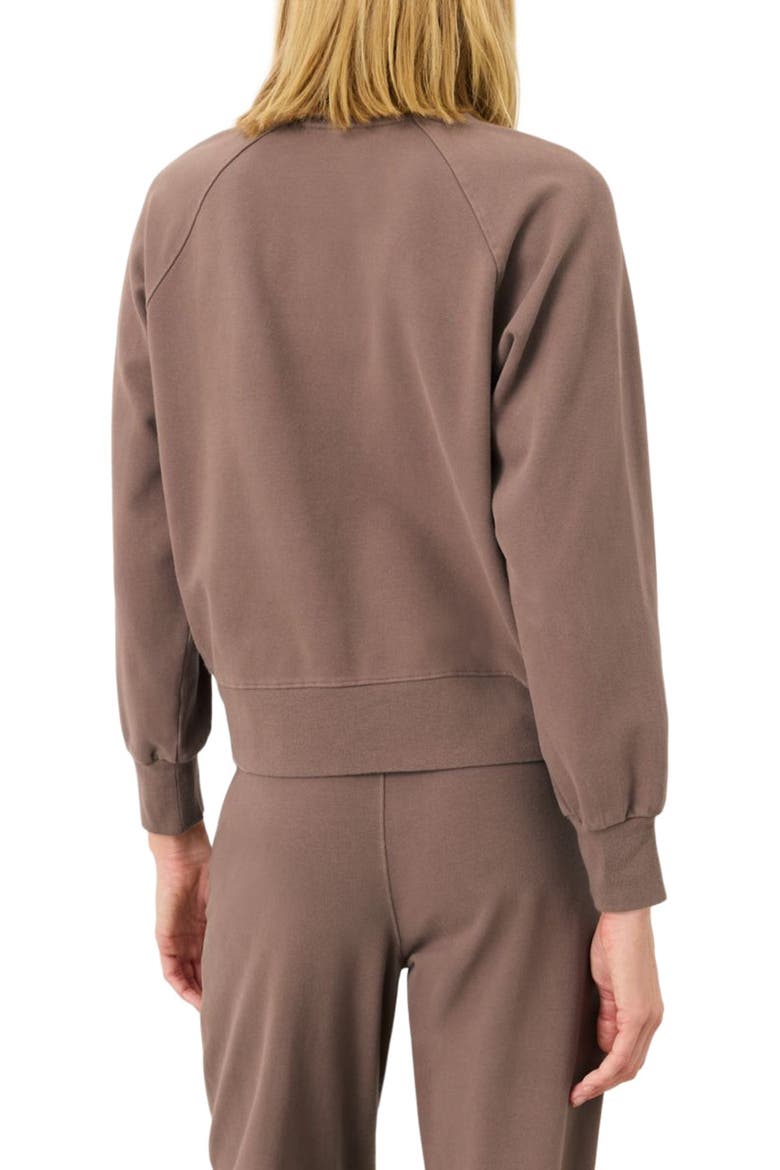 CloudKnit Raglan Crew, Alternate, color, Deep Taupe