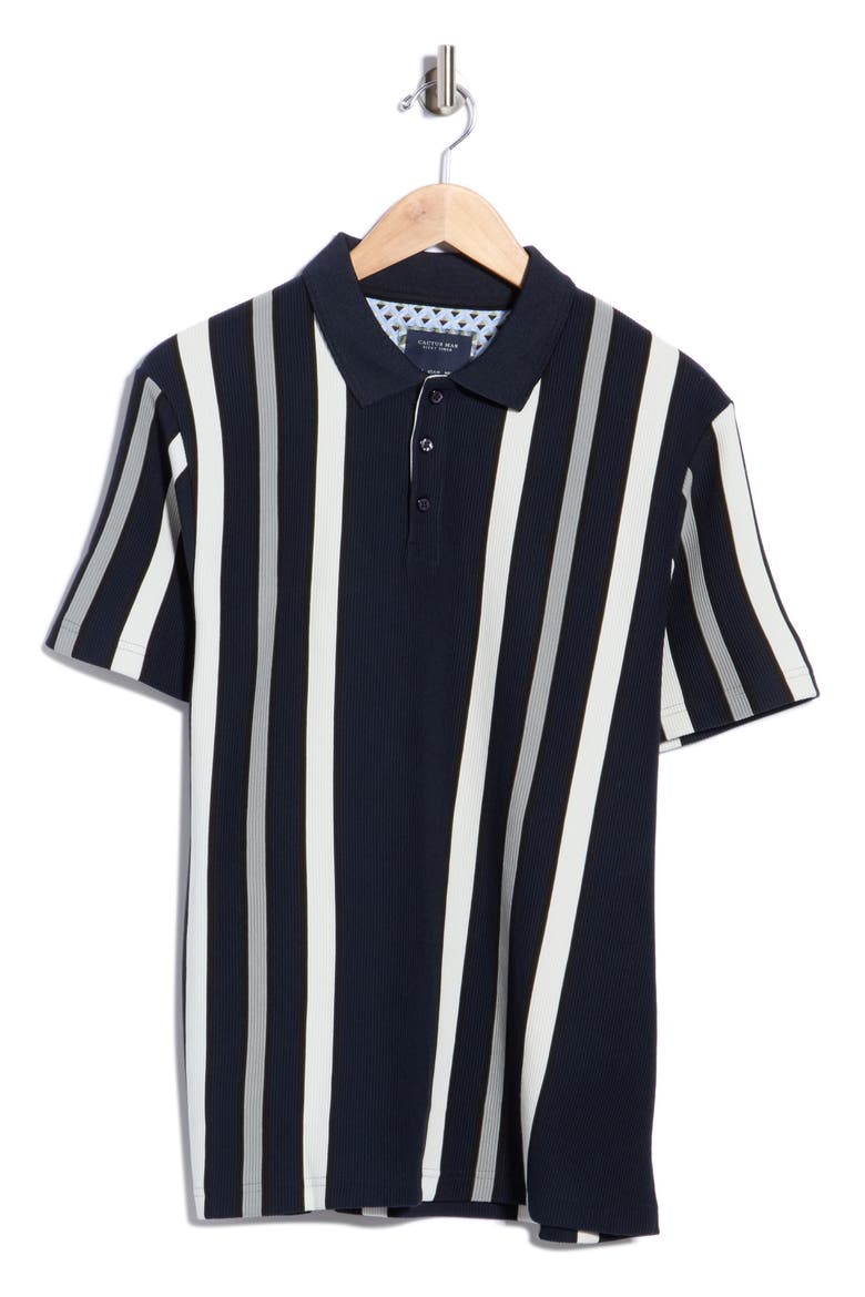 Stripe Ribbed Polo, Alternate, color, NAVY