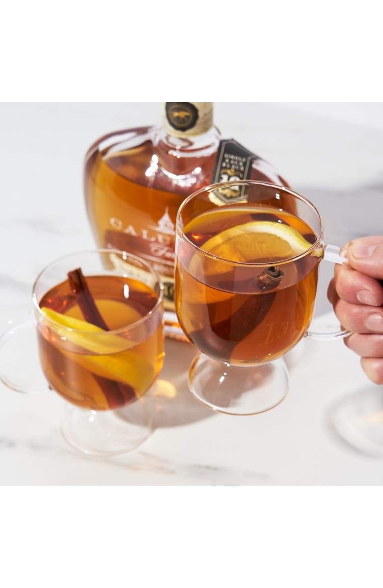 Viski Raye Hot Toddy Glasses Set of 2, Alternate, color, Clear