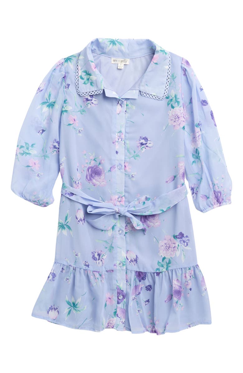 Ava & Yelly Kids' Floral Print Button Down Trapeze Dress, Main, color, 