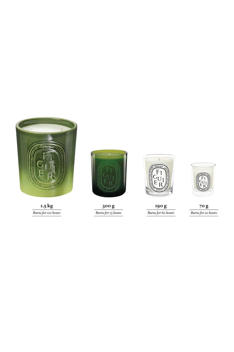 Figuier (Fig) Medium Scented Candle, Alternate, color, NO COLOR